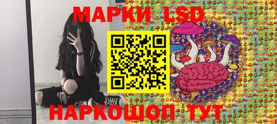 эйфоретик Новокубанск