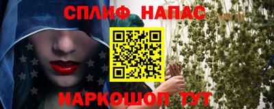 эйфоретик Новокубанск