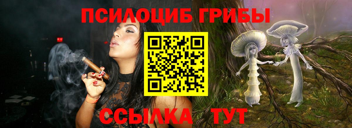 APVP Тамбов